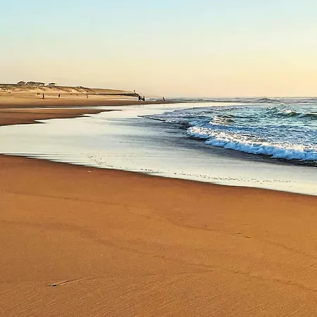 Mine By Interhome * Mimizan-Plage